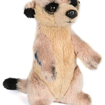 Meerkat - 14 cm (height) - Keywords: Exotic wild animal, plush, plush toy, stuffed animal, cuddly toy