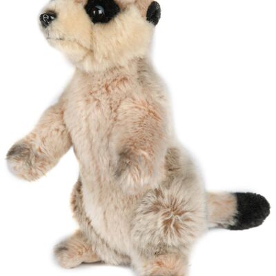 Meerkat - 19 cm (height) - Keywords: Exotic wild animal, plush, plush toy, stuffed animal, cuddly toy