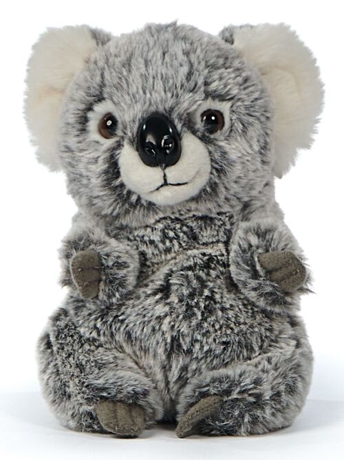 Koala, sitzend - 18 cm (Höhe) - Keywords: Exotisches Wildtier, Plüsch, Koalabär, Bär, Australien, Plüschtier, Stofftier, Kuscheltier