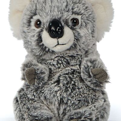 Koala, sitzend - 18 cm (Höhe) - Keywords: Exotisches Wildtier, Plüsch, Koalabär, Bär, Australien, Plüschtier, Stofftier, Kuscheltier