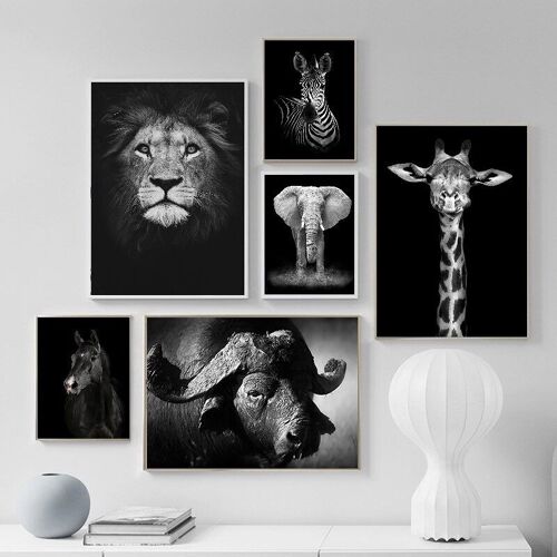 Affiches animaux sauvages - Poster pour décoration d'intérieur
