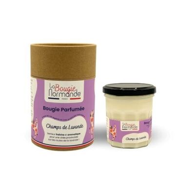 Vela perfumada - Campos de Lavanda