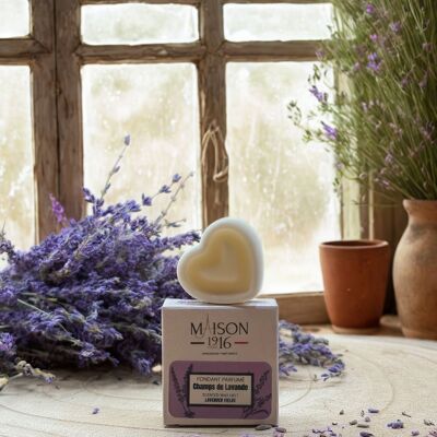 Fondant perfumado - Campos de lavanda