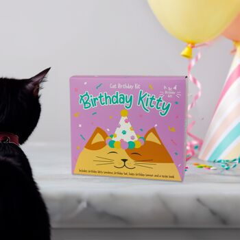 Set d'anniversaire pour chats 4