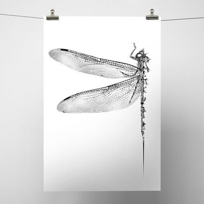 Dragonfly Print A1
