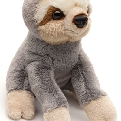 Sloth Plushie - 13 cm (height) - Keywords: Exotic wild animal, plush, plush toy, stuffed animal, cuddly toy