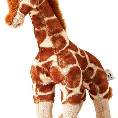 Giraffe - 27 cm (height) - Keywords: Exotic wild animal, plush, plush toy, stuffed animal, cuddly toy