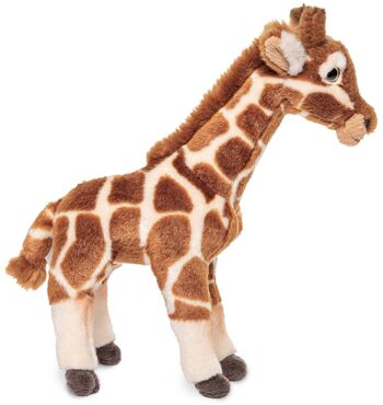 Girafe - 30 cm (hauteur) - Mots clés : Animal sauvage exotique, peluche, peluche, peluche, peluche 2