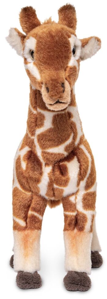 Girafe - 30 cm (hauteur) - Mots clés : Animal sauvage exotique, peluche, peluche, peluche, peluche 3