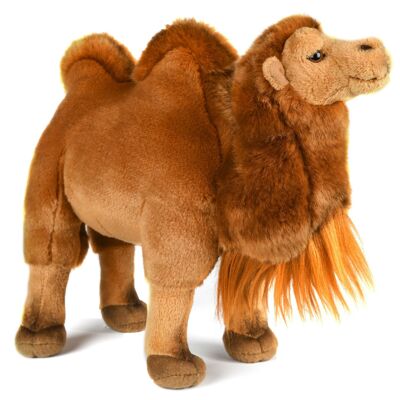 Camello, de pie - 25 cm (alto) - Palabras clave: animal salvaje exótico, dromedario, peluche, peluche, peluche, peluche