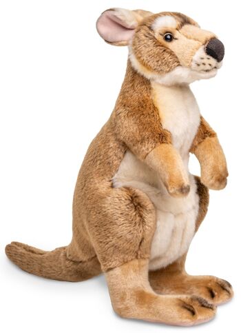 Mère kangourou, debout - Avec sac - 40 cm (hauteur) - Mots clés : Animal sauvage exotique, Australie, peluche, peluche, peluche, peluche 3