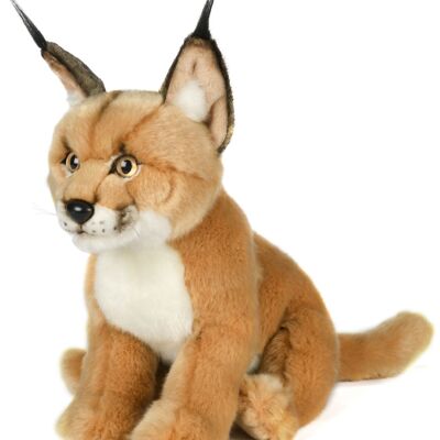 Caracal, sitting - 30 cm (height) - Keywords: Exotic wild animal, cat, lynx, caracal, plush, plush toy, stuffed animal, cuddly toy