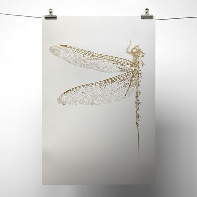 Gold Metallic Dragonfly Print A3