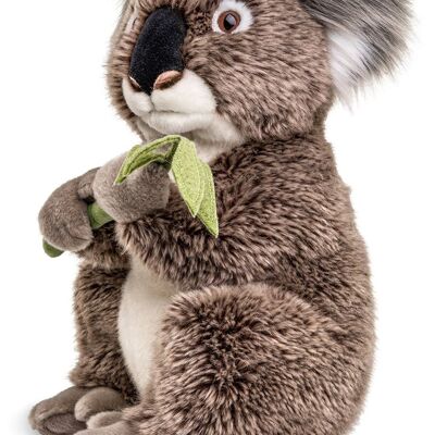 Koala with leaf, sitting - 30 cm (height) - Keywords: Exotic wild animal, koala bear, bear, Australia, plush, plush toy, stuffed toy, cuddly toy