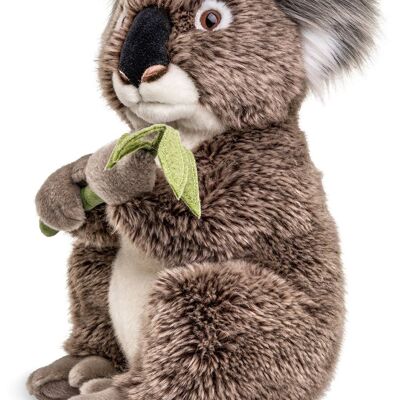 Koala mit Blatt, sitzend - 30 cm (Höhe) - Keywords: Exotisches Wildtier, Koalabär, Bär, Australien, Plüsch, Plüschtier, Stofftier, Kuscheltier