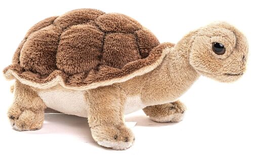 Landschildkröte - 19 cm (Länge) - Keywords: Exotisches Wildtier, Schildkröte, Plüsch, Plüschtier, Stofftier, Kuscheltier