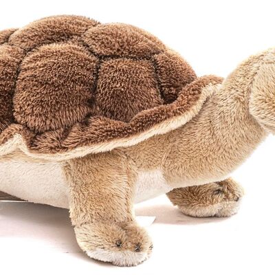 Tortoise - 19 cm (length) - Keywords: Exotic wild animal, turtle, plush, plush toy, stuffed toy, cuddly toy