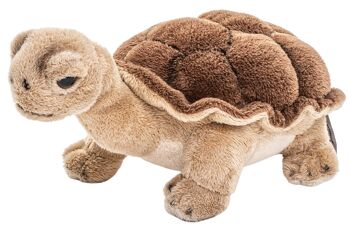 Tortue - 28 cm (longueur) - Mots clés : Animal sauvage exotique, tortue, peluche, peluche, peluche, peluche 3