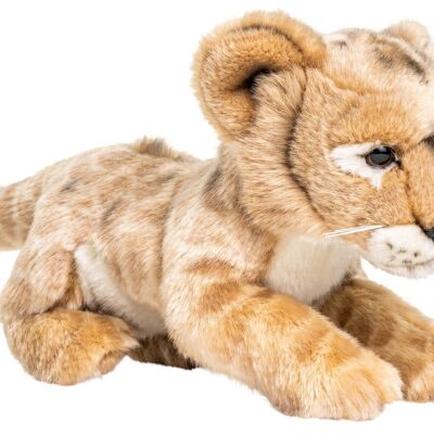 Cucciolo di leone - 22 cm (lunghezza) - Parole chiave: animale selvatico esotico, leone, peluche, peluche, animale di peluche, peluche