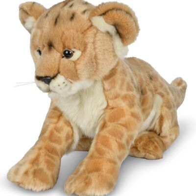 Cucciolo di leone - 31 cm (lunghezza) - Parole chiave: animale selvatico esotico, leone, peluche, peluche, animale di peluche, peluche