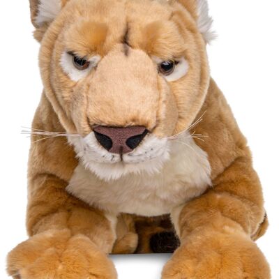 Lionne, couchée - 78 cm (longueur) - Mots clés : Animal sauvage exotique, lion, peluche, peluche, peluche, peluche