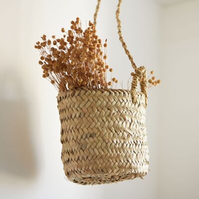 Small hanging basket