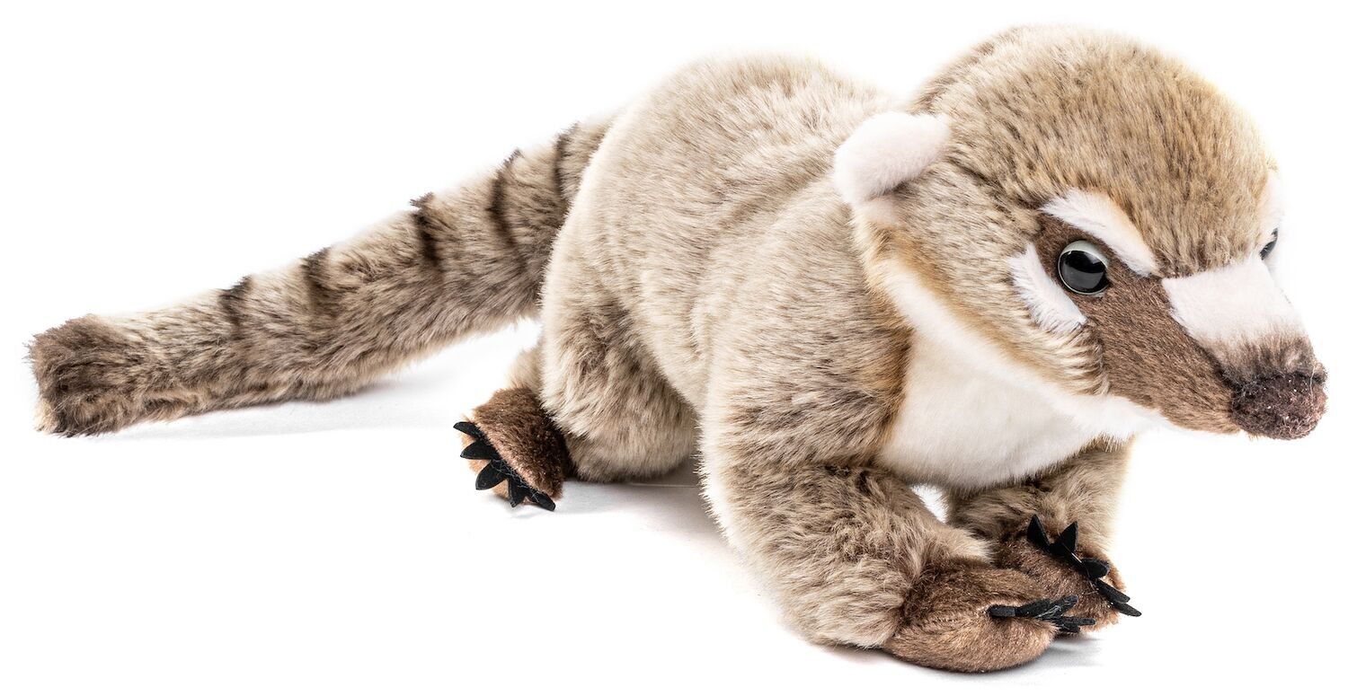 Coati stuffed animal online