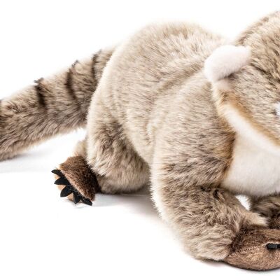 Coati, debout - 29 cm (longueur) - Mots clés : Animal sauvage exotique, ours, peluche, peluche, peluche, peluche
