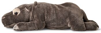 Hippopotame, couché - 30 cm (longueur) - Mots clés : Animal sauvage exotique, hippopotame, hippopotame, peluche, peluche, peluche, peluche 3