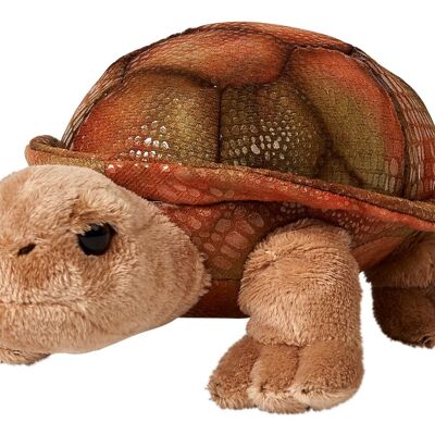 Giant turtle, small - 21 cm (length) - Keywords: Exotic wild animal, turtle, plush, plush toy, stuffed toy, cuddly toy