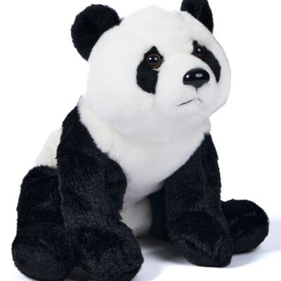 Oso panda sentado - 24 cm (altura) - Palabras clave: animal salvaje exótico, oso, panda, peluche, peluche, peluche, peluche