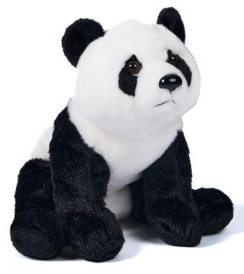 Ours panda, assis - 24 cm (hauteur) - Mots clés : Animal sauvage exotique, ours, panda, peluche, peluche, peluche, peluche 1