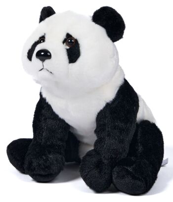 Ours panda, assis - 24 cm (hauteur) - Mots clés : Animal sauvage exotique, ours, panda, peluche, peluche, peluche, peluche 2