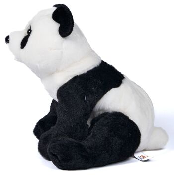 Ours panda, assis - 24 cm (hauteur) - Mots clés : Animal sauvage exotique, ours, panda, peluche, peluche, peluche, peluche 3