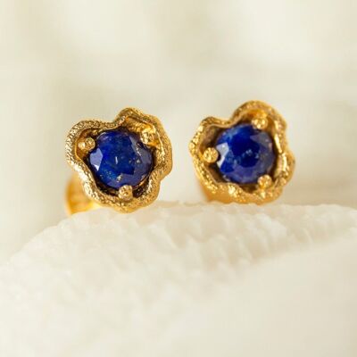 Boucles d'oreilles à tige en lapis-lazuli et lichen doré