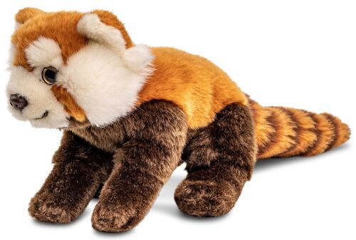 Roter Panda, sitzend - 21 cm (Länge) - Keywords: Exotisches Wildtier, Bär, Plüsch, Plüschtier, Stofftier, Kuscheltier