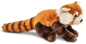 Panda roux, assis - 21 cm (longueur) - Mots clés : Animal sauvage exotique, ours, peluche, peluche, peluche, peluche 3