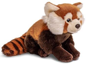 Panda roux, assis - 27 cm (longueur) - Mots clés : Animal sauvage exotique, ours, peluche, peluche, peluche, peluche 2