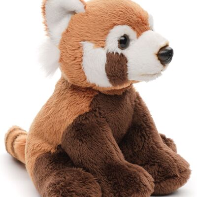 Red Panda Plushie, sitting - 15 cm (length) - Keywords: Exotic wild animal, bear, plush, plush toy, stuffed animal, cuddly toy