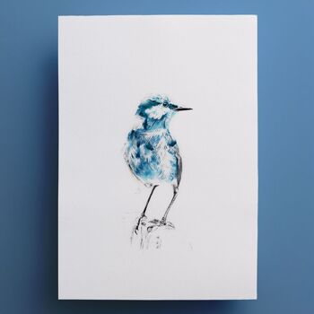 Affiche oiseau "Blue Bird" A5 - tirages limités et signés 3