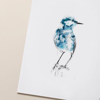 Affiche oiseau "Blue Bird" A5 - tirages limités et signés 1