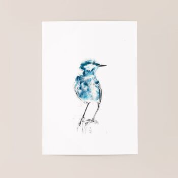 Affiche oiseau "Blue Bird" A5 - tirages limités et signés 2