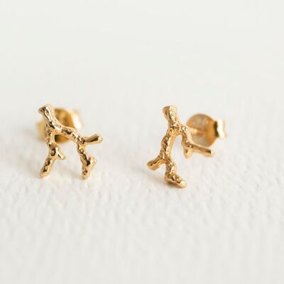 Coral Reef Gold Stud Earrings