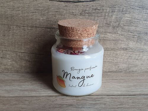 Bougie parfumée Mangue 140g