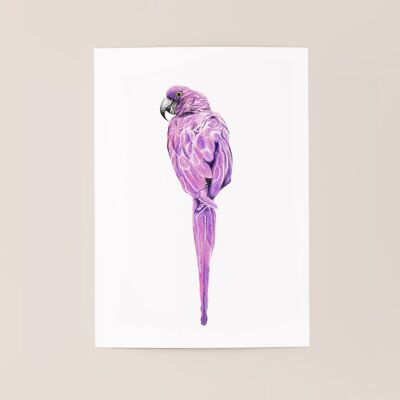 Affiche oiseau "Magenta Bird" A5 - tirages limités et signés