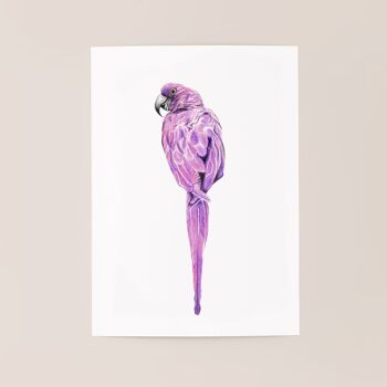Affiche oiseau "Magenta Bird" A5 - tirages limités et signés 1