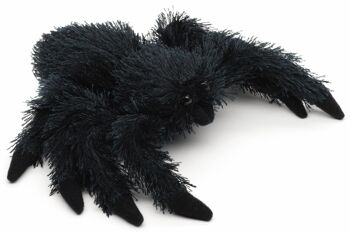 Araignée noire - 15 cm (longueur) - Mots clés : Animal sauvage exotique, insecte, peluche, peluche, peluche, peluche 2