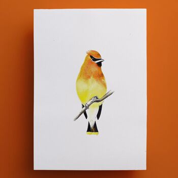 Affiche oiseau "Yellow Bird" A5 - tirages limités et signés 3
