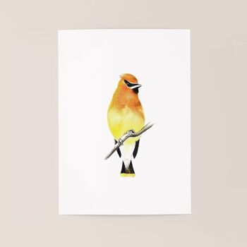 Affiche oiseau "Yellow Bird" A5 - tirages limités et signés 2