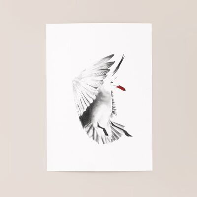 Poster di uccelli "Black Bird" A5 - stampe limitate e firmate